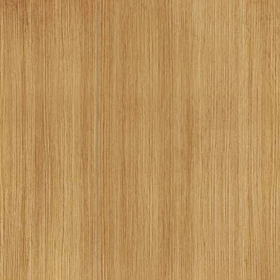 Calla Canopy Patio Accent Chair - White - Opalhouse™ 8 Calla Canopy Patio Accent Chair - White - Opalhouse™ - Image 6